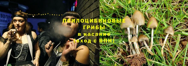 трава Коряжма