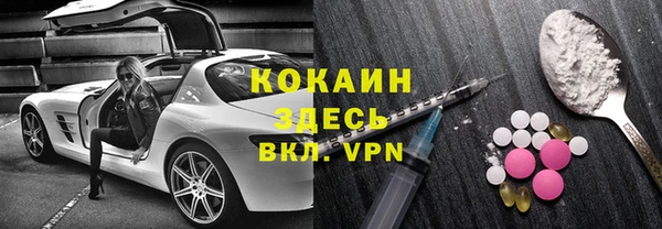 трава Коряжма