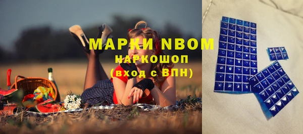 трава Коряжма