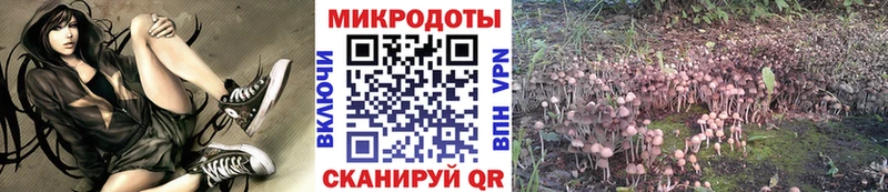 мега ССЫЛКА  закладка  Ахтырский  Псилоцибиновые грибы Psilocybe 